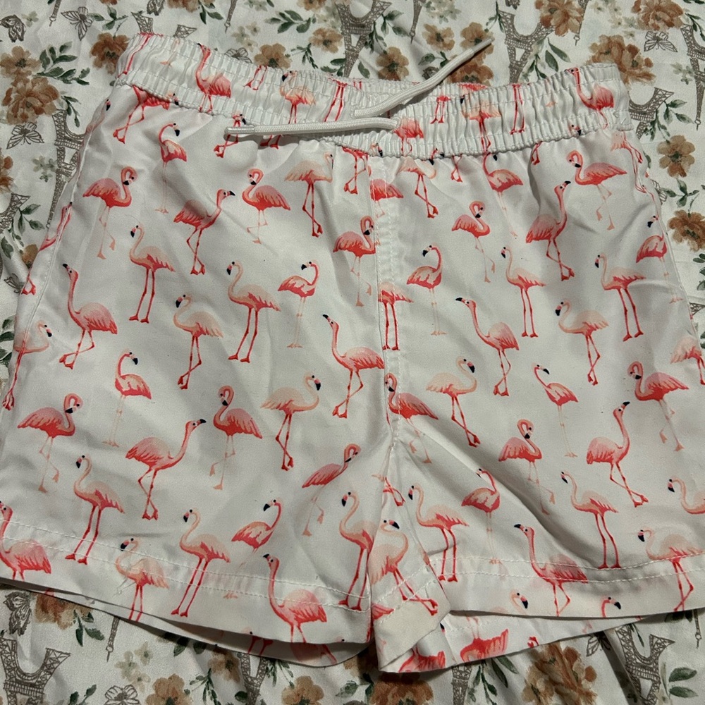 Janie and Jack Boys Flamingo Swim Trunks - Size 3t & 12to18 months